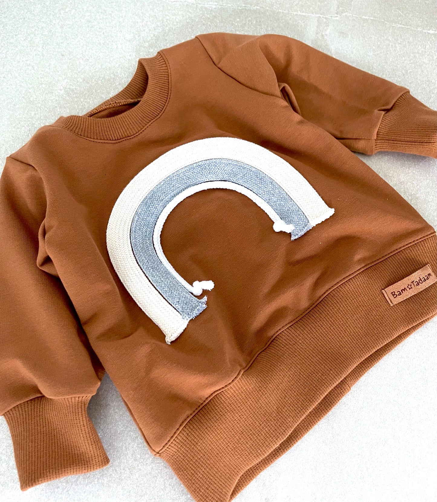 Jongens Sweatshirt 'Rainbow' Bruin