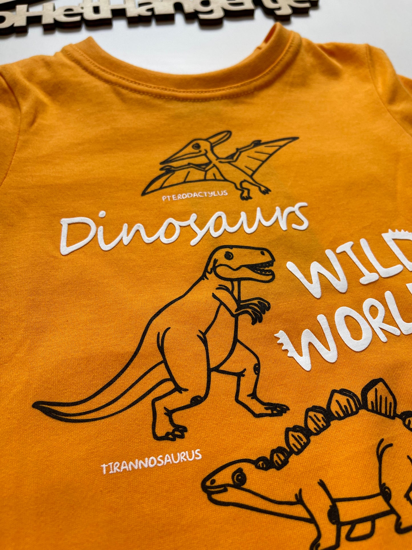Jongens T-Shirt 'Dinosaurs Wild World' Oranje met Opdruk
