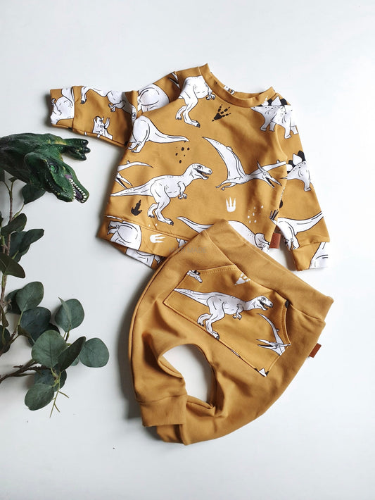 Jongens Setje 'Dinosaurus'