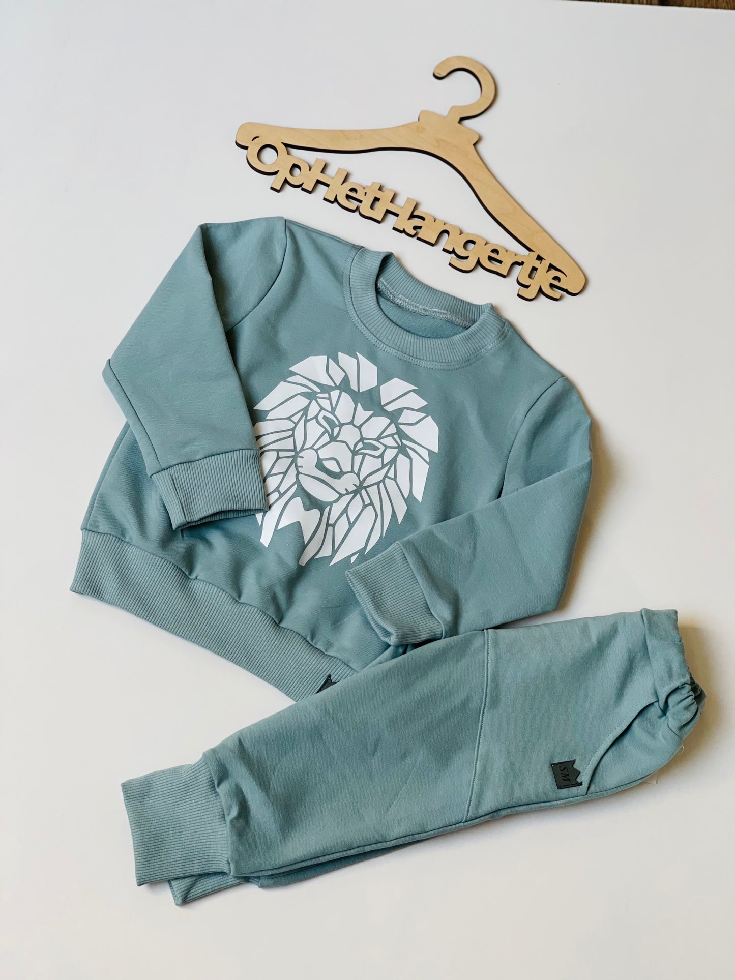 Jongens setje 'Lion' Sweatshirt met opdruk Leeuw en jogging broek met zakken Hydro