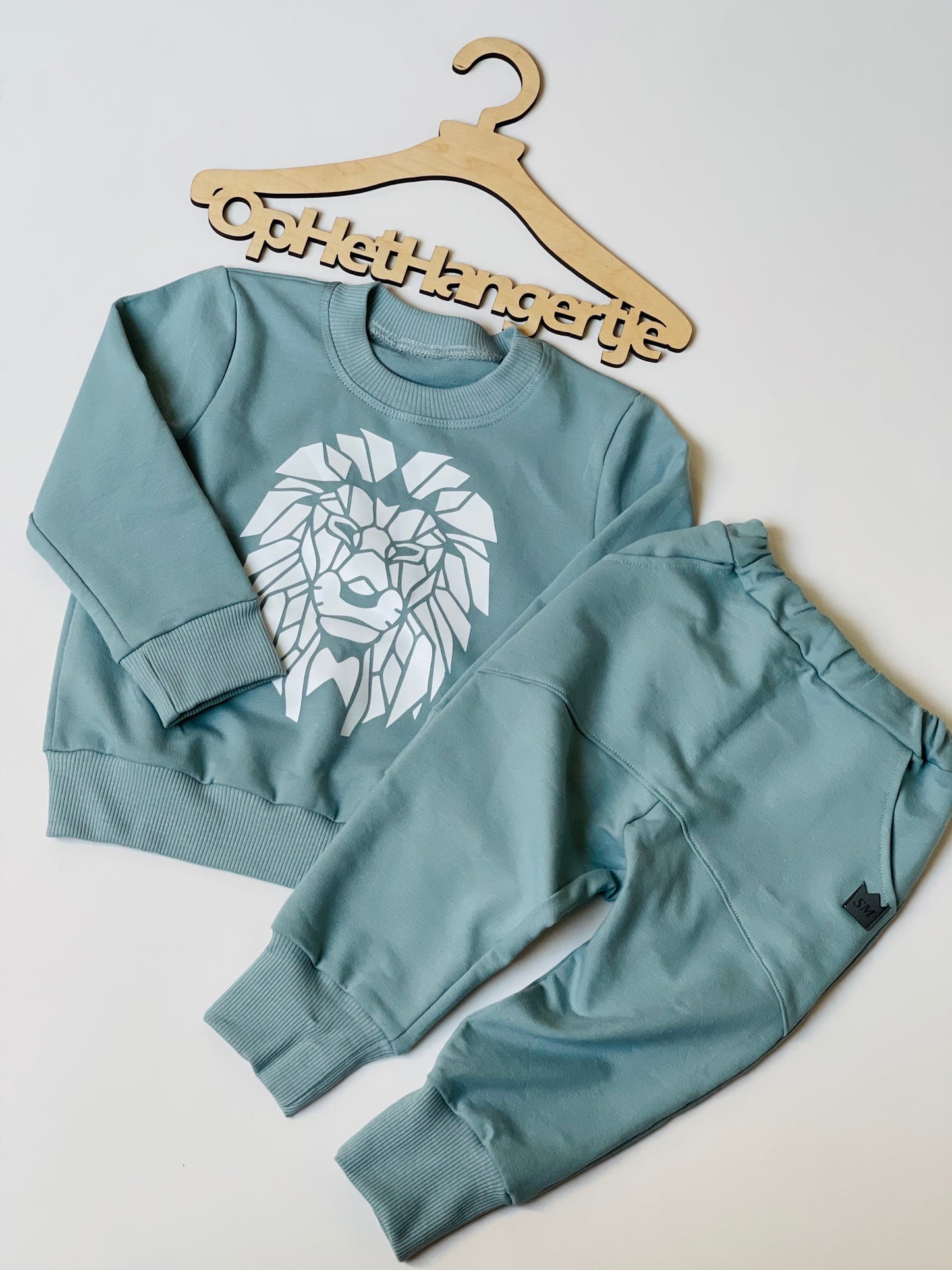 Jongens setje 'Lion' Sweatshirt met opdruk Leeuw en jogging broek met zakken Hydro